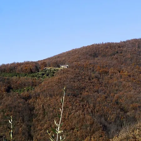 Casa Michele * Fivizzano