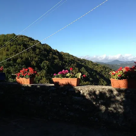 Casa Michele Dom wakacyjny *
